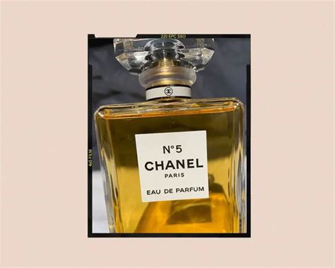 actress no 5 chanel|what does Chanel no 5 smell like.